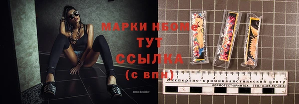 хмурый Инсар