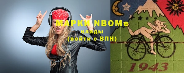 хмурый Инсар