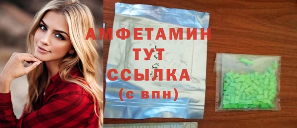 хмурый Инсар