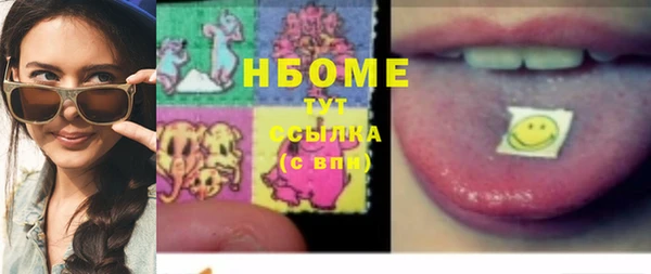 хмурый Инсар