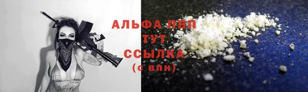 хмурый Инсар